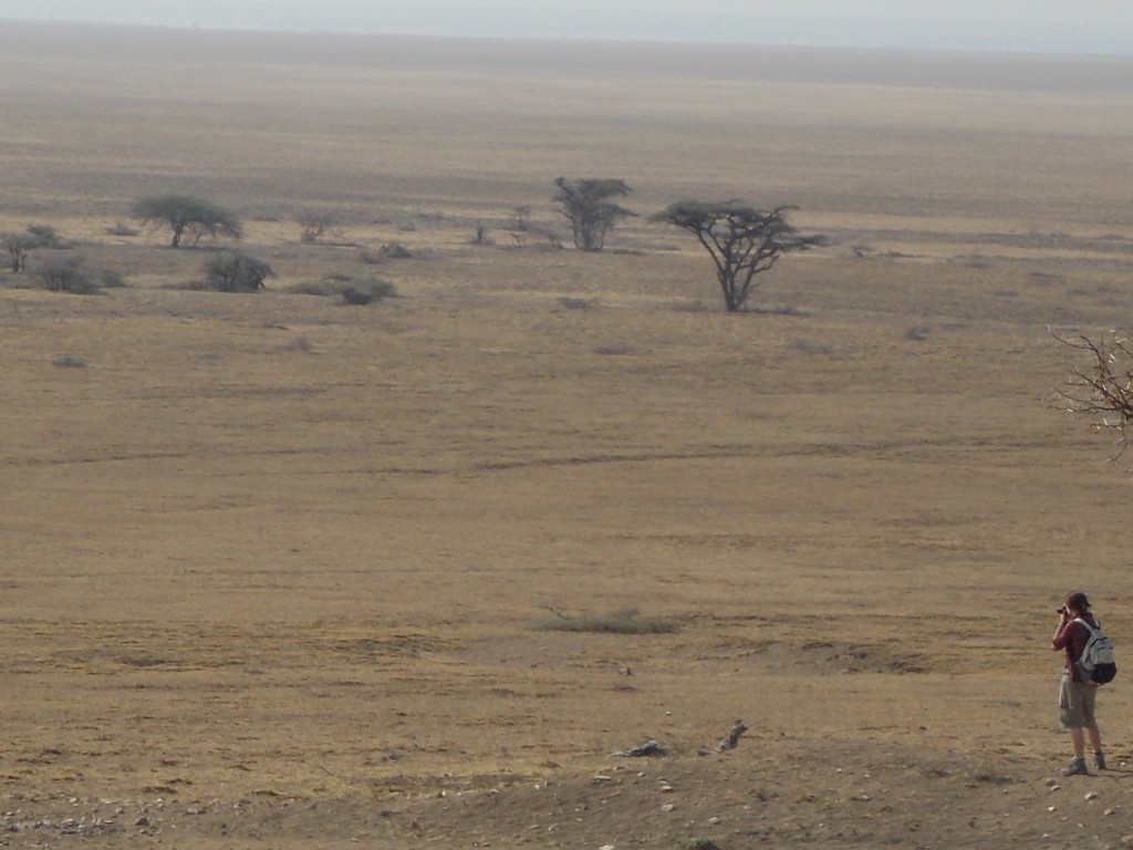 área de conservación del Ngorongoro